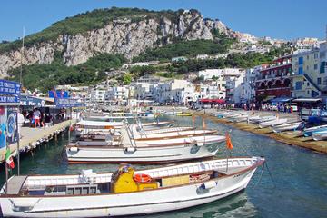 Capri all Inclusive Private Tour from Amalfi