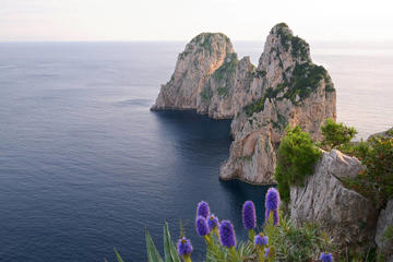 Capri all Inclusive Private Tour from Positano