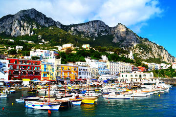 Capri all Inclusive Private Tour from Sorrento