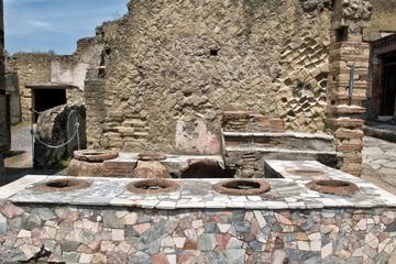 Herculaneum Private Walking Tour