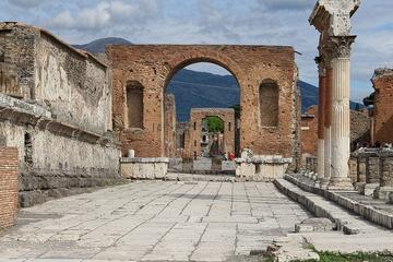 Pompeii and Museum of Naples Private Tour led by an Archaeologist