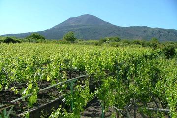 Pompeii and Vesuvius Wine-Tasting Tour