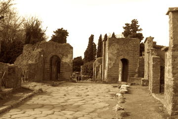 Small-Group Pompeii Tour with an Archaeologist Guide