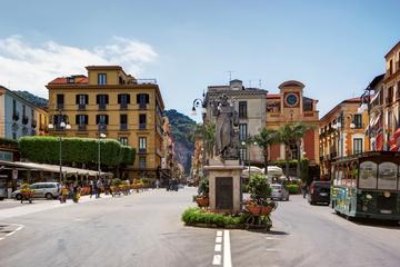 Sorrento and Pompeii ruins private day tour