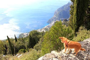 The Path of the Gods with private transfer from Sorrento