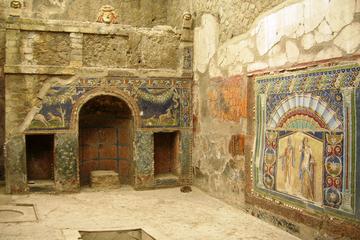 Transfer from Naples to Amalfi-Ravello with 2 hours Private Tour in Herculaneum