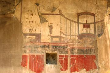 Transfer from Naples to Sorrento with 2 hours Private Tour in Herculaneum