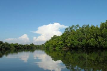 Bentota Boat Safari
