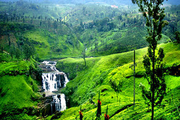 Nuwara Eliya Tour from  Bentota