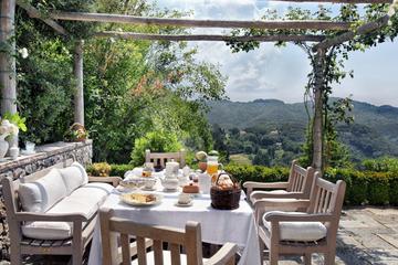 Amazing Lunch in organic Farm with Balsamic Vinegar Olive Oil truffle and Wine tasting Experience in Tuscany