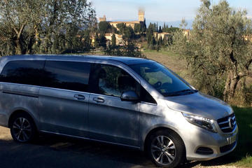 Chianti Vineyards Tours in Private Luxury Van from Florence