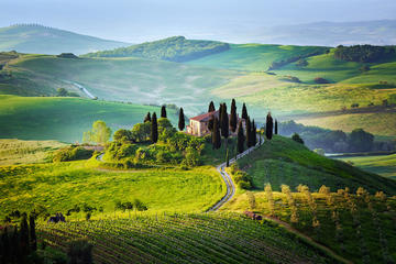 Half Day Chianti Wine Tour with Private Luxury Van