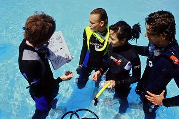 Discover Scuba Diving from Koh Samui