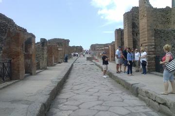 Pompeii Half Day Exploration Tour