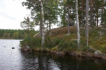 2-Day Lake and Farm Experience
