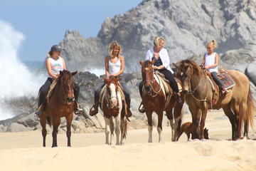 Pacific Horseback Riding Tour in Cabo San Lucas
