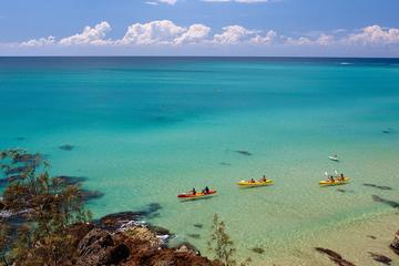 Byron Bay to Gold Coast Airport Departure Shuttle