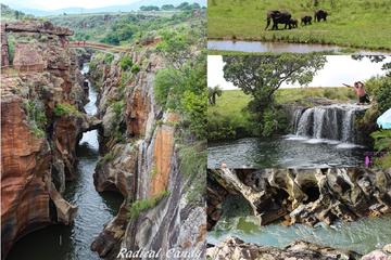 5-Day Kruger National Park Tour from Johannesburg