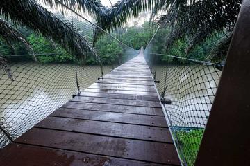 Day Trip to Ulu Temburong National Park from Bandar Seri Begawan