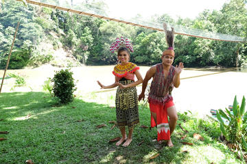 Temburong Experience Full-Day Tour from Bandar Seri Begawan