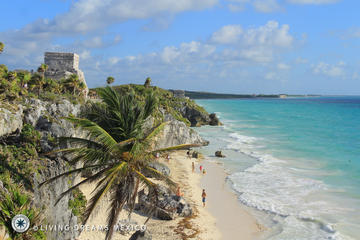 Tulum Archaeological Site Snorkel underground river and gourmet beach side lunch