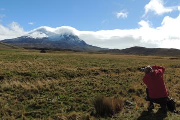 Antisana Volcano and Condors Watching Private Tour
