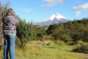 Cotopaxi National Park Private Tour