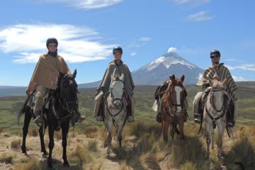 Horseback Riding and Cotopaxi National Park Private Tour