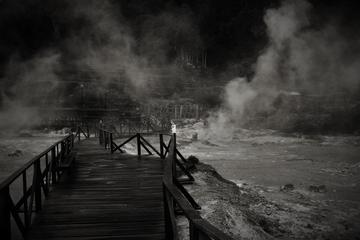 Furnas Hot Springs Half-Day Tour