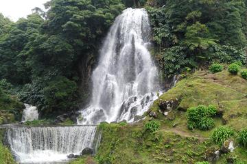 Nordeste Full Day Tour from Ponta Delgada