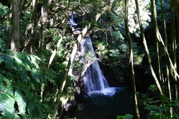 Sanguinho The Lost Village Walking Tour in Azores