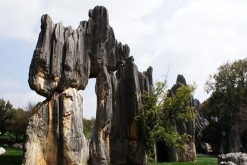 6-Day Kunming Small Group Tour