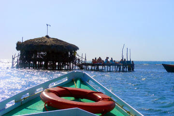 3-Day Sightseeing Tour of Treasure Beach and Negril departing from Montego Bay