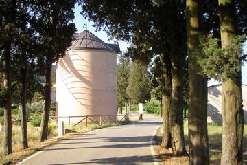 Wind Mill Visit and Olive Oil Tasting