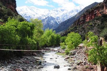 3 Valleys and Atlas mountains Best Private Guided Day trip from Marrakech