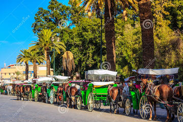Marrakech Private Horse-Drawn Carriage Ride