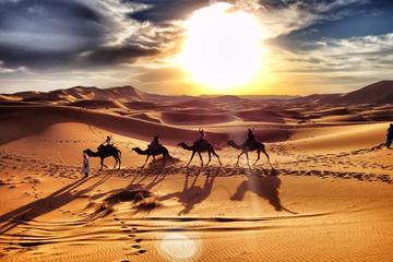Marrakech to Zagora Desert tour