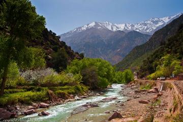 Ourika Valley best shared Day trip from Marrakech