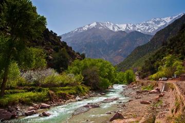 Ourika Valley Day Tour from Marrakech