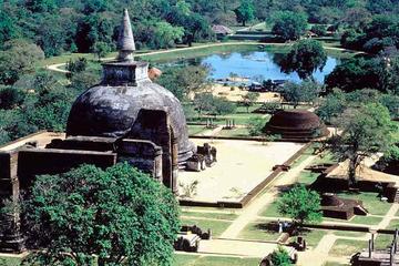 Private Half Day Tour: Polonnaruwa Gal Vihara and Ruins City
