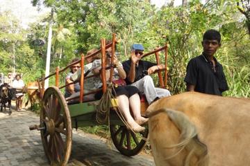 Private: Hiriwadunna Village Trek from Habarana