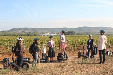 Barcelona Montserrat and Segway Winery Private Tour with Wine and Cava Tasting