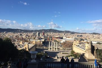 Barcelona Private Guided Tour by Minibus