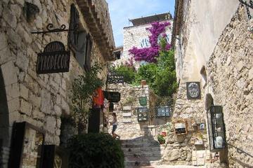 Villefranche Shore Excursion: Private Day Trip to Monaco, Eze and Nice