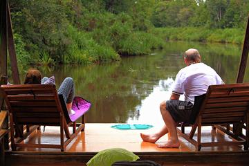 3D2N Orangutan Houseboat Tour in Tanjung Puting National Park