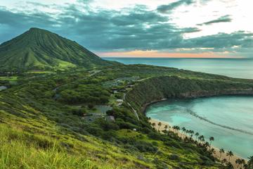 Diamond Head and Oahu Coast Half-Day Tour
