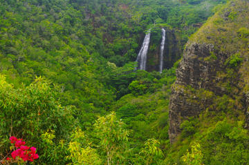 Kauai Day Trip: Waimea Canyon, Wailua River from Oahu
