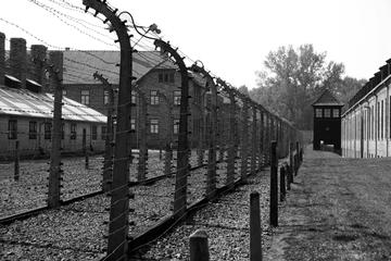 Auschwitz-Birkenau Tour with Transfer and Private Guide from Krakow