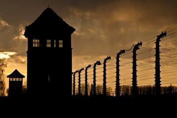 Auschwitz, Salt Mine and Schindler List Tour Package
