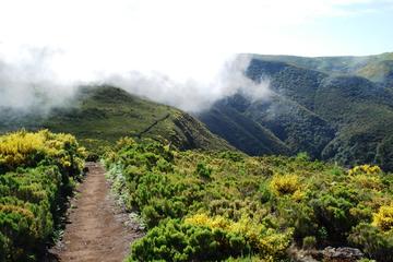 Fanal Assobiadores - Mountain Walk